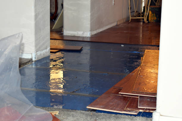 Professional Emergency Water Damage Restoration technician working in Garden City, MO
